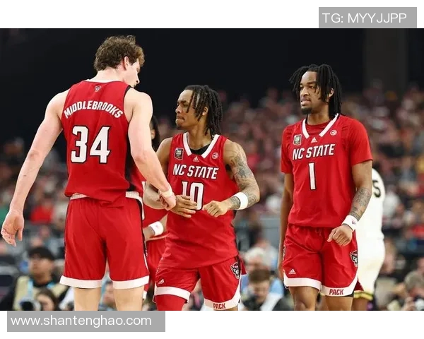 老鹰队战胜热火，晋级季后赛，球迷狂欢庆祝胜利